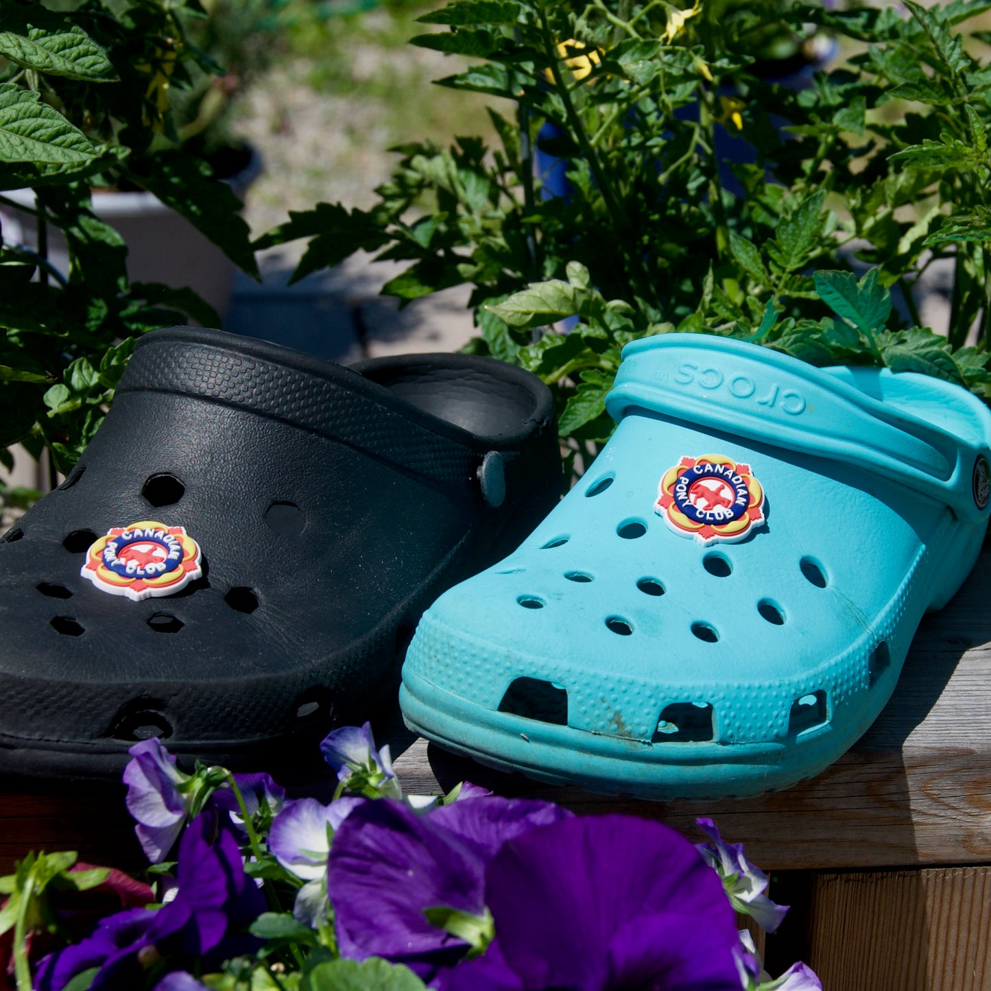 CPC Shoe Charm