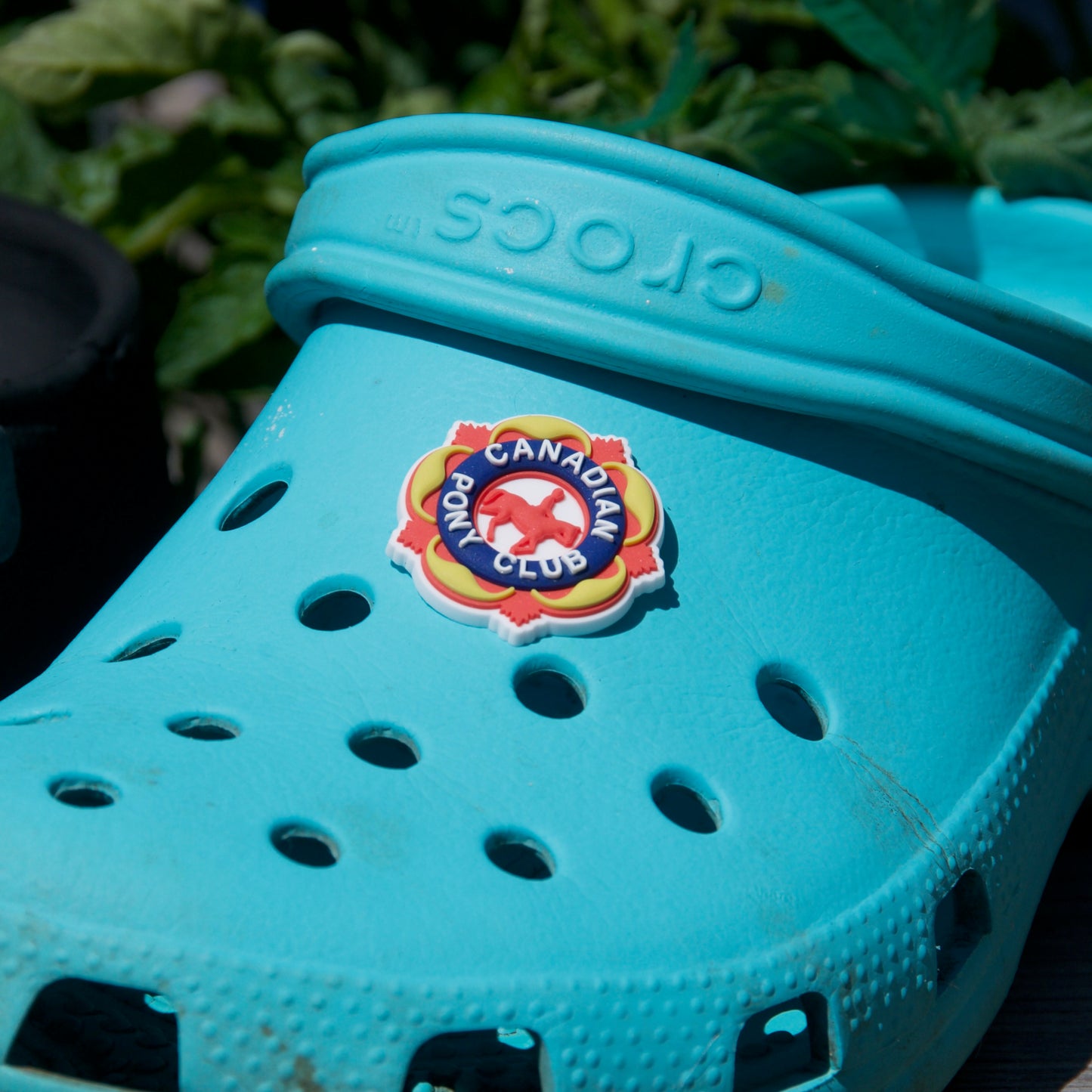 CPC Shoe Charm