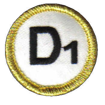 Test Level Badges C & D