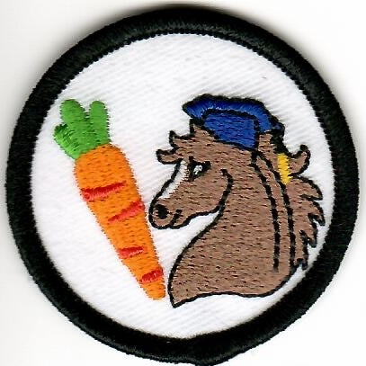 Junior Badges - Horsemanship