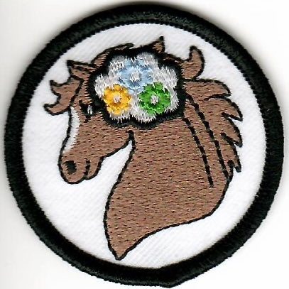 Senior Badges - Horsemanship