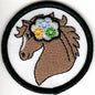 Senior Badges - Horsemanship