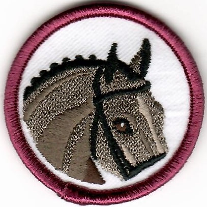 Horsemanship - Basic