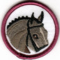 Horsemanship - Basic