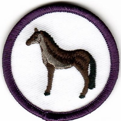 Horsemanship - Advanced