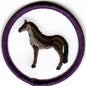 Horsemanship - Advanced