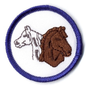 Junior Badges - Horsemanship