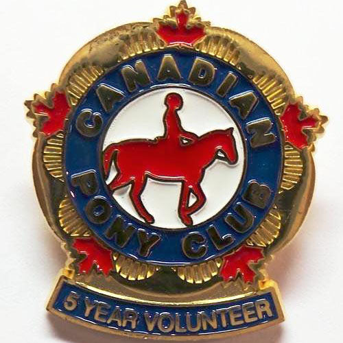 5 Year Volunteer Pin