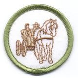 Senior Badges - Arts and Recreation
