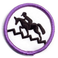 Senior Badges - Horsemanship