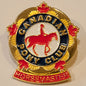 Horse Master Pin