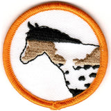 Specialty Badges - General Horse Knowledge